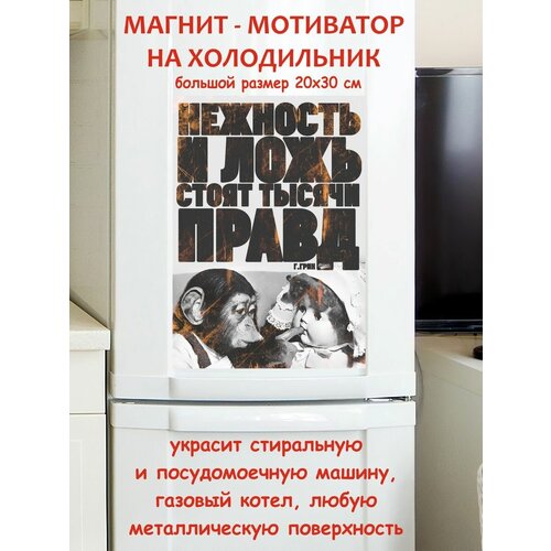 �������� � ���� ����� ������ ����� ��������� ������ ������ �� ����������� 20 �� 30 �� 790�