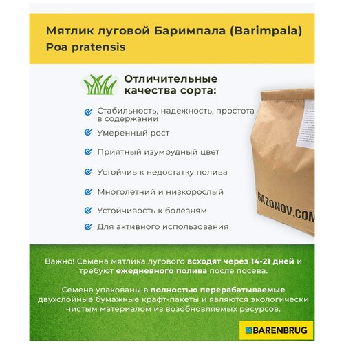 Семена газона Мятлик луговой сорт Баримпала Barenbrug (3 кг) 4500р