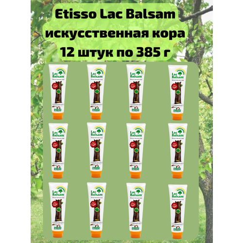  12 .         ,   , 385 Etisso / Lac Balsam 13110