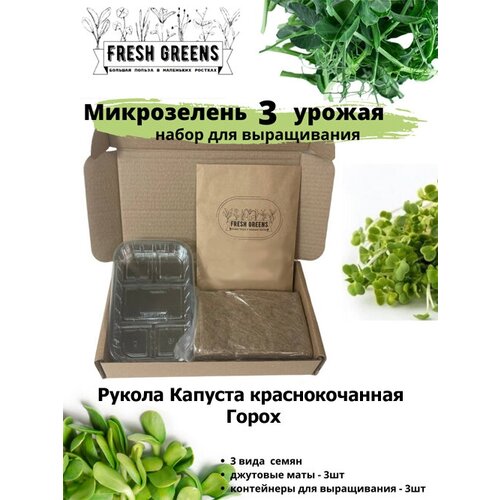 Микрозелень для выращивания Набор Fresh Greens (Рукола Капуста краснокочанная Горох) 386р