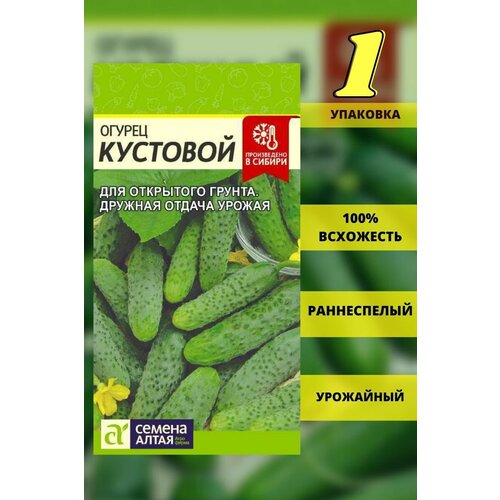 Семена огурца Кустовой- 1 шт, Семена Алтая огурцы для теплиц и открытого грунта 145р